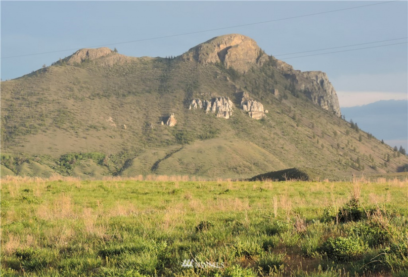 84 Wannacut Lake, Tonasket, Washington 98855, ,Land,For Sale,Wannacut Lake,NWM1626349