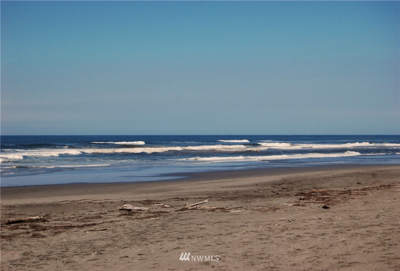 163 Sand Dune, Ocean Shores, Washington 98569, ,Land,For Sale,2,Sand Dune,NWM1640188