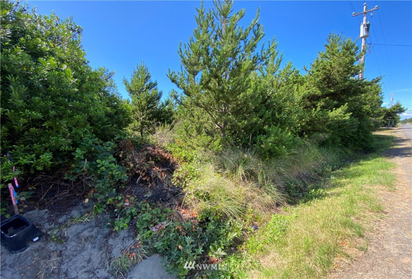 163 Sand Dune, Ocean Shores, Washington 98569, ,Land,For Sale,2,Sand Dune,NWM1640188