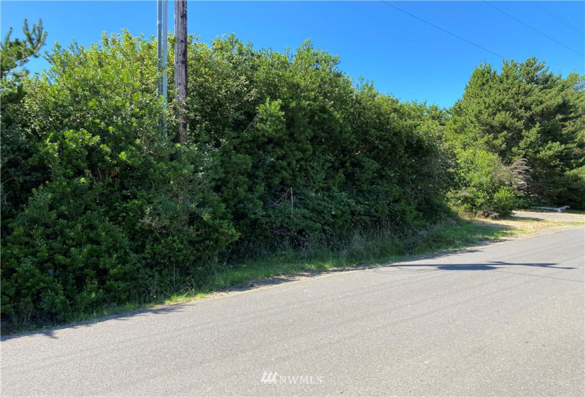 163 Sand Dune, Ocean Shores, Washington 98569, ,Land,For Sale,2,Sand Dune,NWM1640188