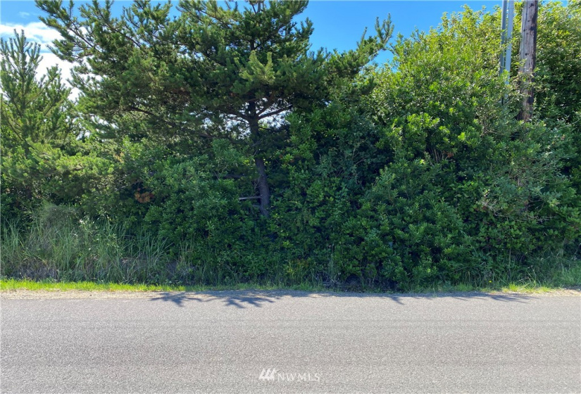 163 Sand Dune, Ocean Shores, Washington 98569, ,Land,For Sale,2,Sand Dune,NWM1640188