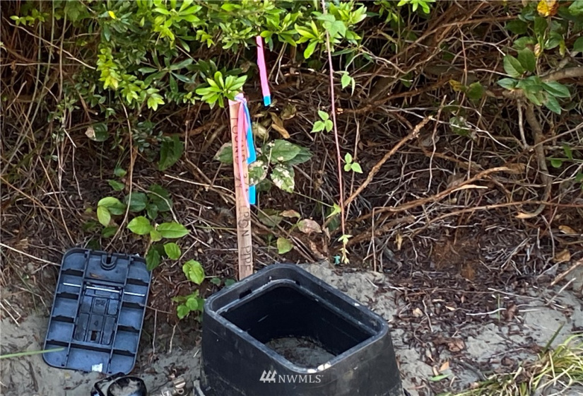 163 Sand Dune, Ocean Shores, Washington 98569, ,Land,For Sale,2,Sand Dune,NWM1640188