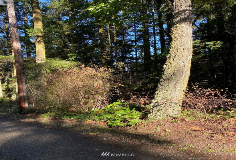 0 XX2 Olele Point, Port Ludlow, Washington 98365, ,Land,For Sale,Olele Point,Olele Point,NWM1740175