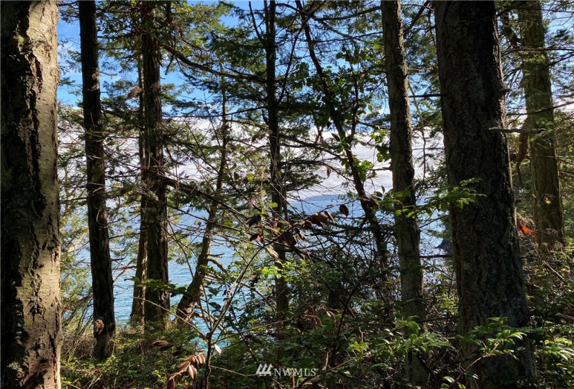 0 XX2 Olele Point, Port Ludlow, Washington 98365, ,Land,For Sale,Olele Point,Olele Point,NWM1740175